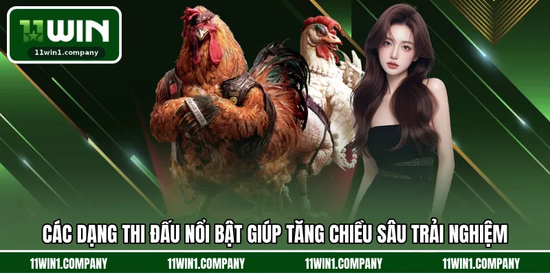 Các dạng thi đấu nổi bật giúp tăng chiều sâu trải nghiệm