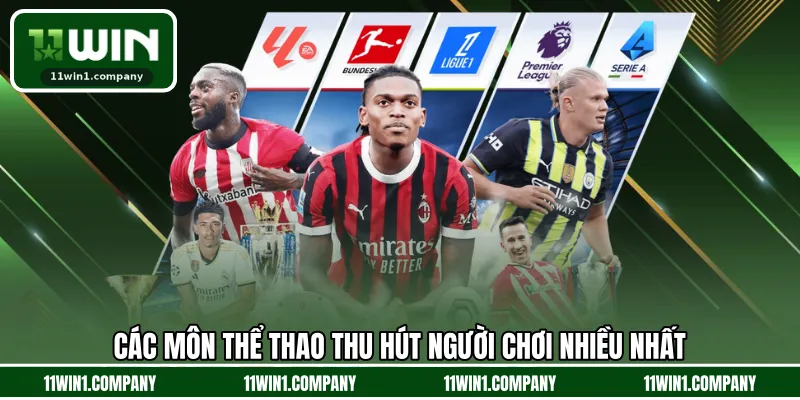 Các môn thể thao thu hút người chơi nhiều nhất 