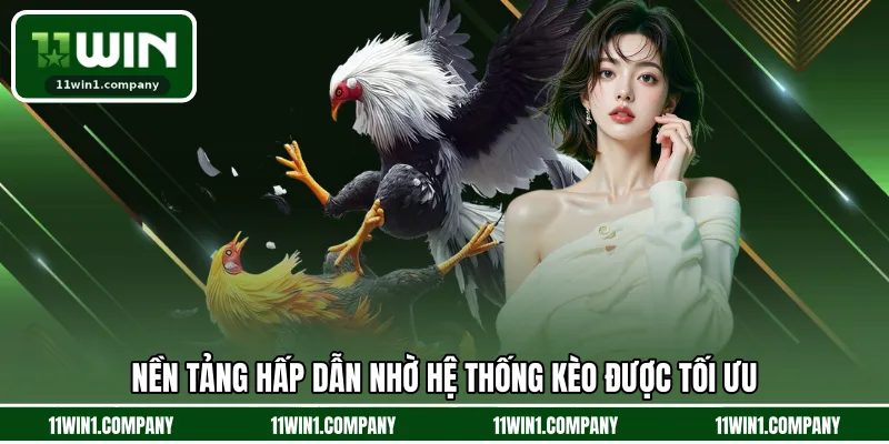 Nền tảng hấp dẫn nhờ hệ thống kèo được tối ưu