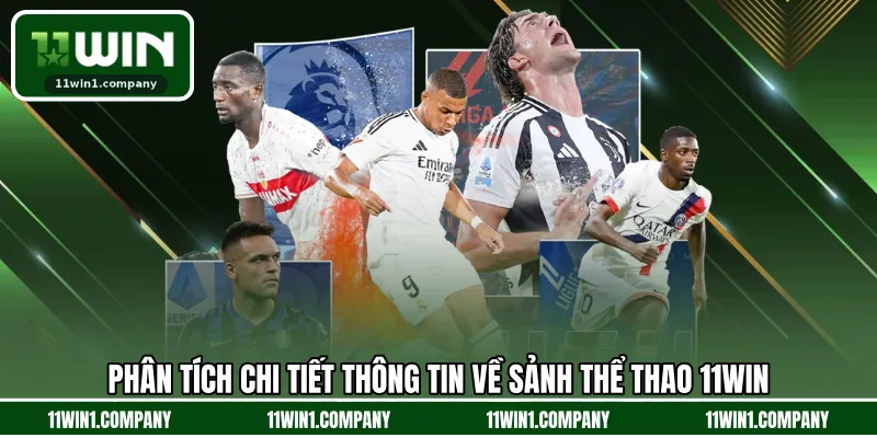 Phân tích chi tiết thông tin về sảnh thể thao 11WIN 